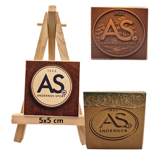 Magnets & logos du club